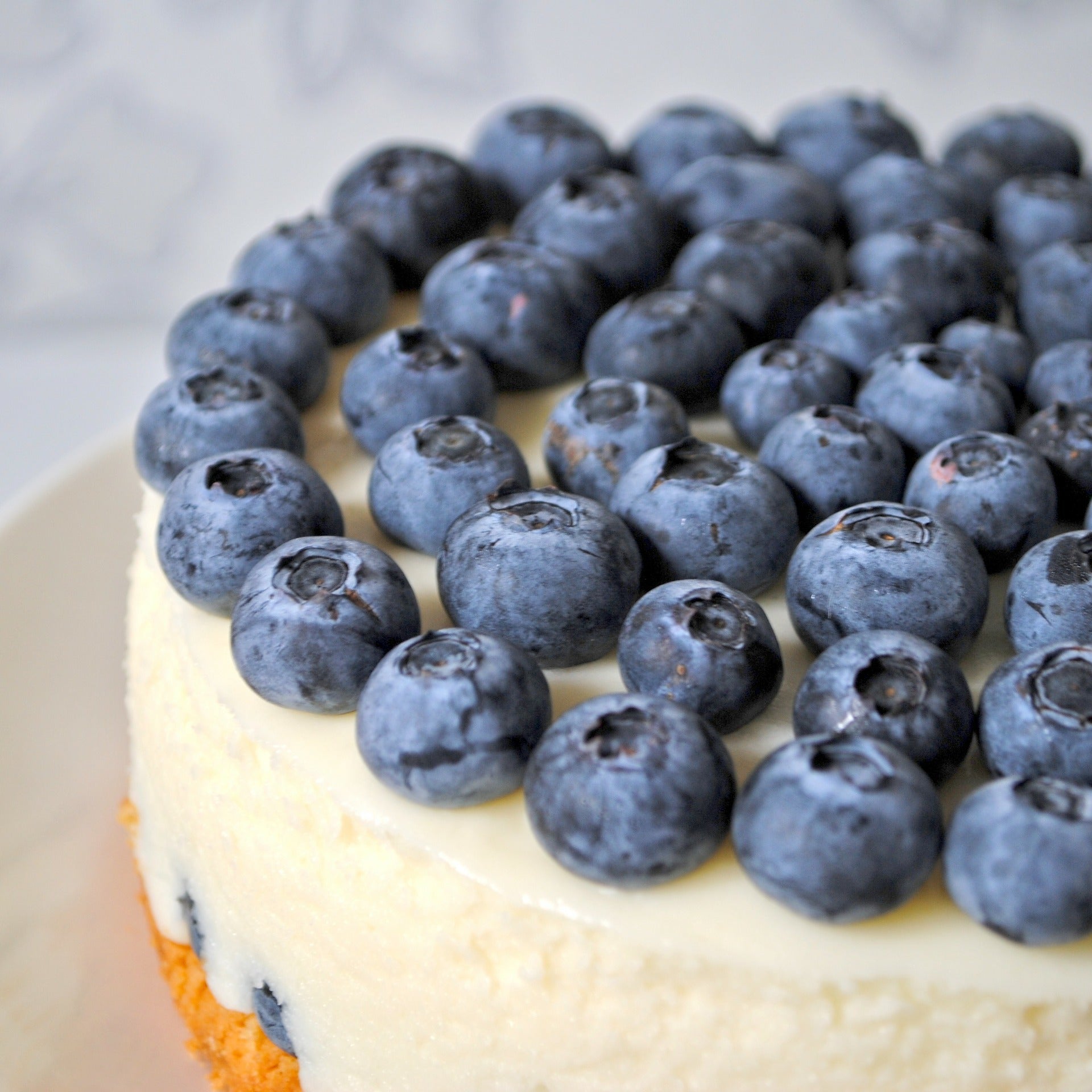 Blueberry Cheesecake Mix FUNDRAISER